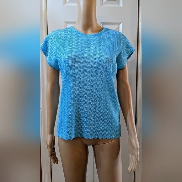 Pre-owned Kim Rogers blue short sleeve shirt size small, TB - Picture 1 of 3